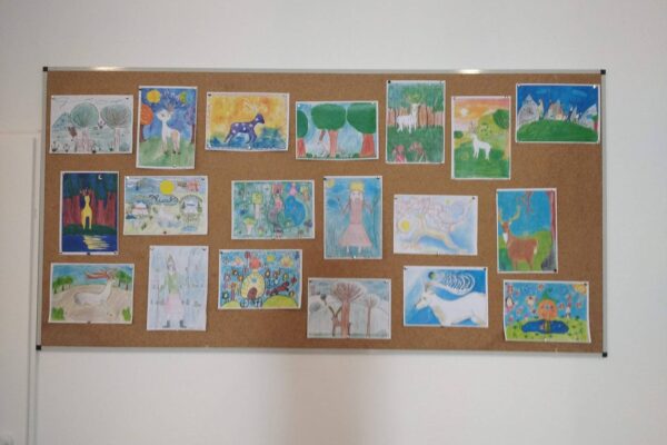 IMG_20250404_134017_1